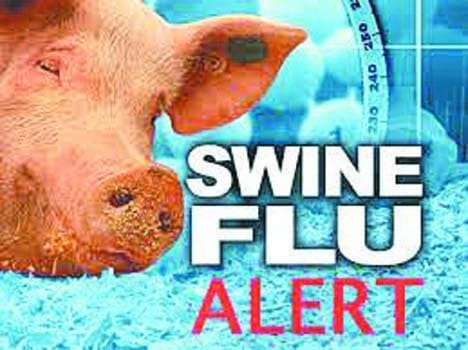 another woman death of swine flu
